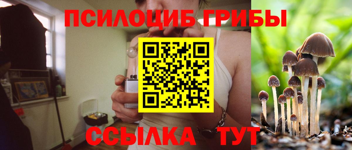 как найти наркотики  Вход с VPN  Отрадное  Галлюциногенные грибы Magic Shrooms 